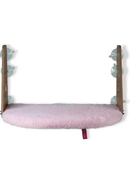 Pembe Kedi Cam Yatağı