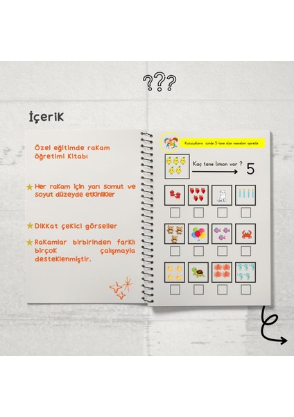 Rakam Öğretimi Kitabı ( Özel Eğitim ) indirimleri