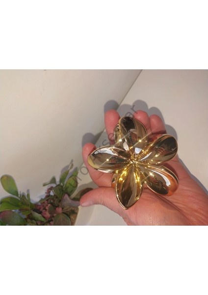 Büyük Boy Lotus Toka fiyatları