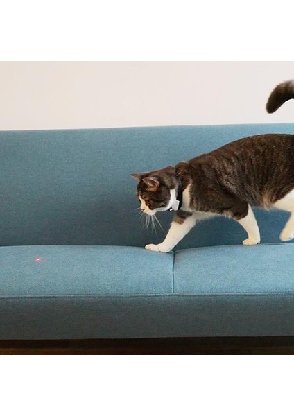 Cheerble Şarjlı Akıllı Interaktif Lazer Tasma Kedi Oyuncağı 34X3,5CM