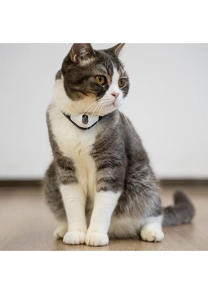 Cheerble Şarjlı Akıllı Interaktif Lazer Tasma Kedi Oyuncağı 34X3,5CM fiyatları