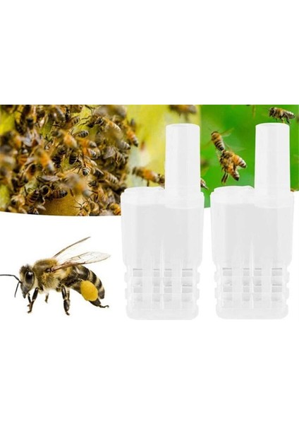 Arı Kraliçesi Kafesleri Arı Kafesleri Arıcılık Yakalayıcı Arı Ekipmanları Plastik Beyaz Güvenlik Arıcılık Kafesi Arıcılık Malzemeleri (Yurt Dışından) modelleri