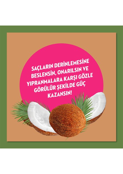 Doğanın Enerjisi Hindistan Cevizi Yağı Onarıcı Saç Bakım Seti 400 ml + 350 ml