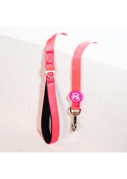 Neon Pembe Leash Kedi Köpek Sevk & Gezdirme Kayışı Köpek Uzatma Tasması