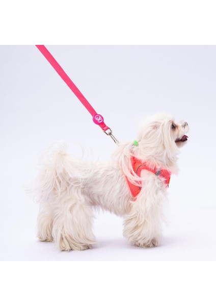 Neon Pembe Leash Kedi Köpek Sevk & Gezdirme Kayışı Köpek Uzatma Tasması