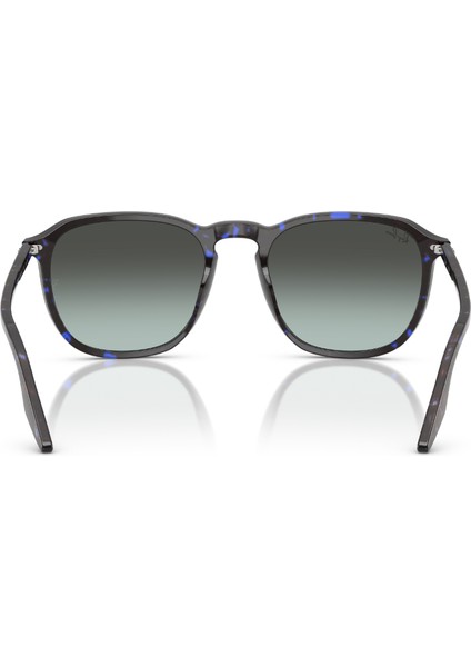 Güneş Gözlüğü RB2203 52 1430GK modelleri