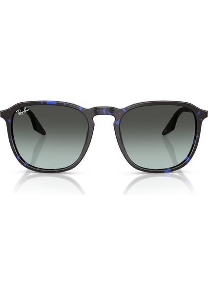 Güneş Gözlüğü RB2203 52 1430GK indirimleri