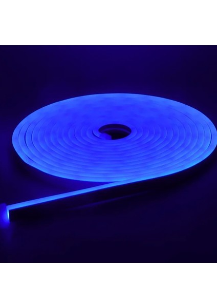 Neon LED Şerit 5metre (Mavi) LED Zincir Bandı Hortum Esnek Dekoratif Aydınlatma Işık 12V 10W (1. Gen.)