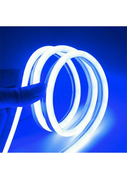 Neon LED Şerit 5metre (Mavi) LED Zincir Bandı Hortum Esnek Dekoratif Aydınlatma Işık 12V 10W (1. Gen.) fiyatları