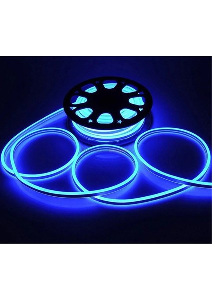 Neon LED Şerit 5metre (Mavi) LED Zincir Bandı Hortum Esnek Dekoratif Aydınlatma Işık 12V 10W (1. Gen.) fırsatları
