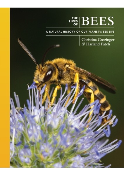 Lives Of Bees / A Natural History Of Our Planet's Bee Life - Christina Grozinger