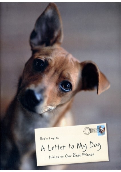Letter To My Dog / Personal Notes From Humans To Their Pups - Robin Layton