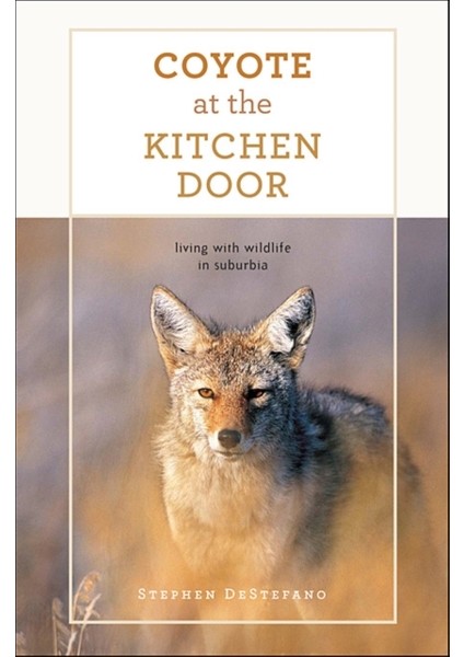 Coyote At The Kitchen Door / Living With Wildlife In Suburbia - Stephen DeStefano
