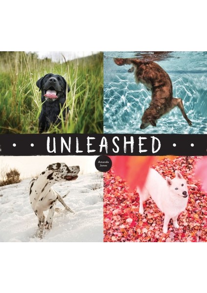 Unleashed - Amanda Jones
