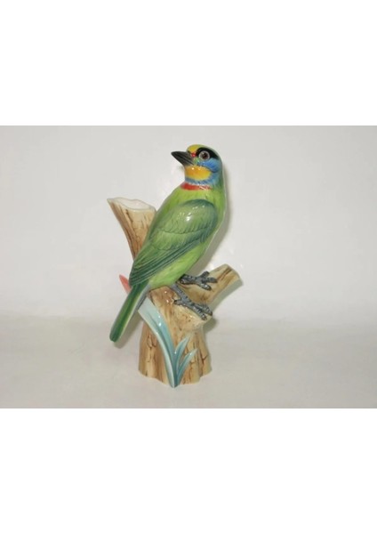 Kuş Porselen Vazo Megalaima Nuchalis Black-Browed Barbet Capitonidae Sanat Elegans Porselen 1 Adet