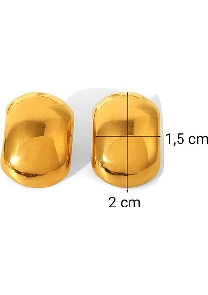 Küpe Altın Kaplama 316 L Çelik + Hediye Paket