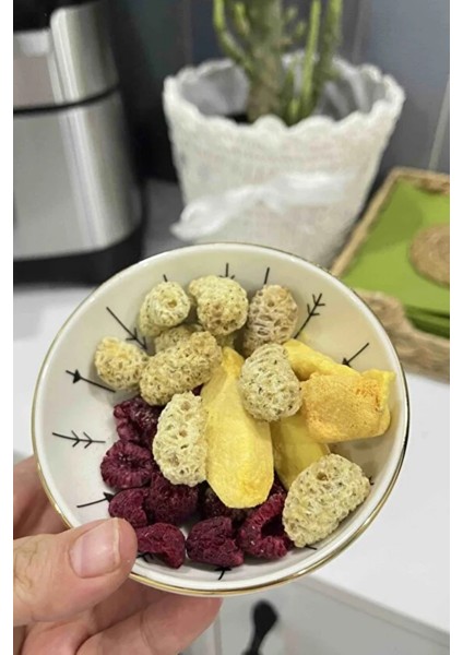 Mango Kurusu 20GR. Sağlıklı Atıştırmalık Meyve Cipsi Dondurularak Kurutulmuş - Freeze Dried Mango