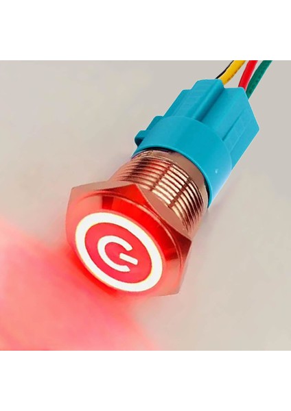 16MM Kırmızı Power Sembol Ledli Kablolu Push Tip Metal Button Panel Montaj Düz Kafa Com No Nc Dc 6A 12V IP67 Su Geçirmez Paslanmaz Çelik Düğme Start Kontrol Otomasyon