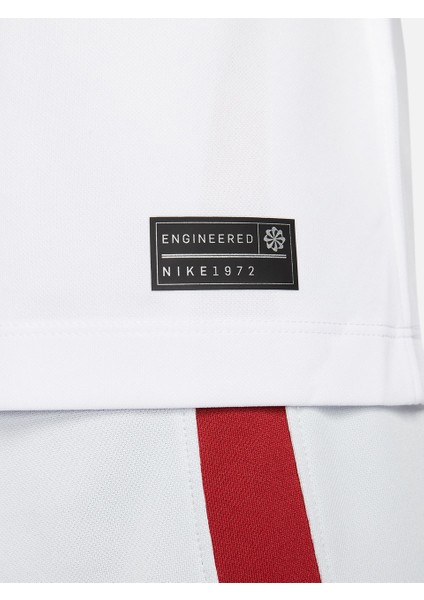 Nike Galatasaray 2023/2024 Deplasman Forma FJ7948-100