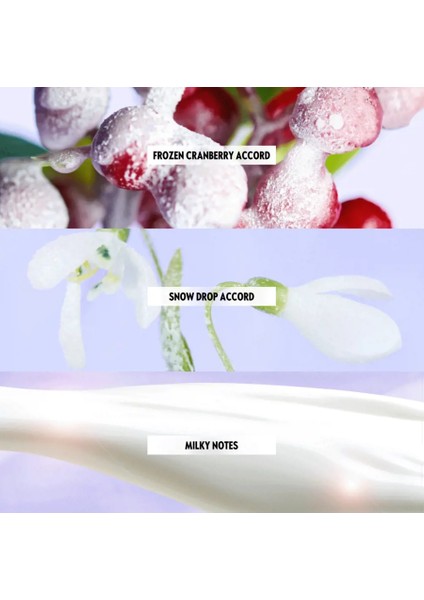 Lucia Sparkling Fantasy Edt