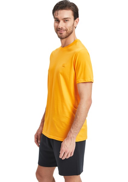 Galatasaray Erkek 3`lü Karışık Basic T-Shirt E241273