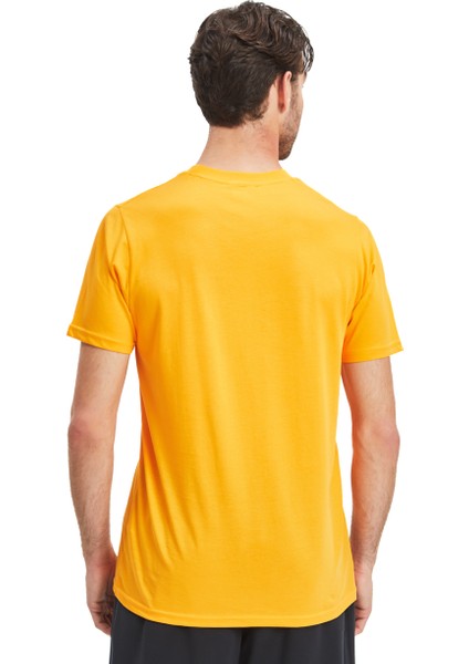 Galatasaray Erkek 3`lü Karışık Basic T-Shirt E241273
