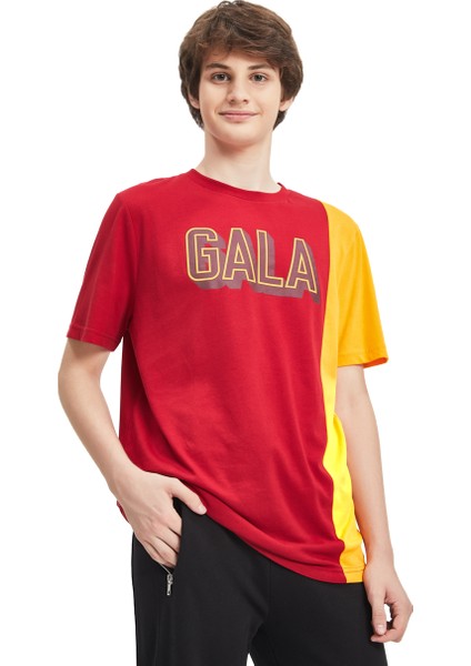 Galatasaray Erkek T-Shirt Y241222