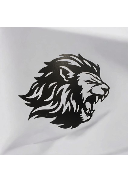 Aslan Başı Dekoratif Duvar Süsü
