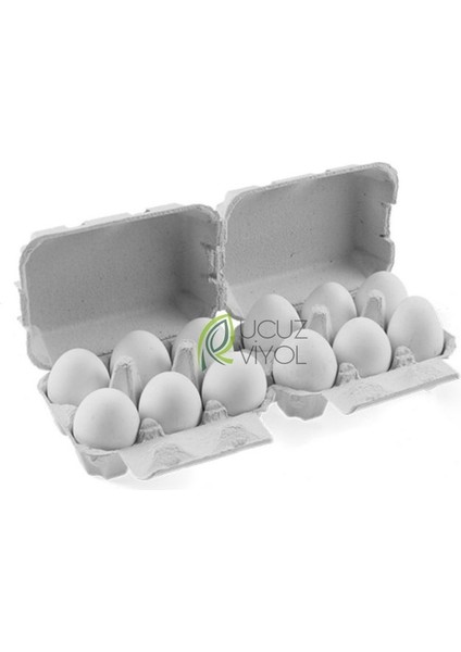 6 Lı Karton Kapaklı Yumurta Viyolü 60 Adet