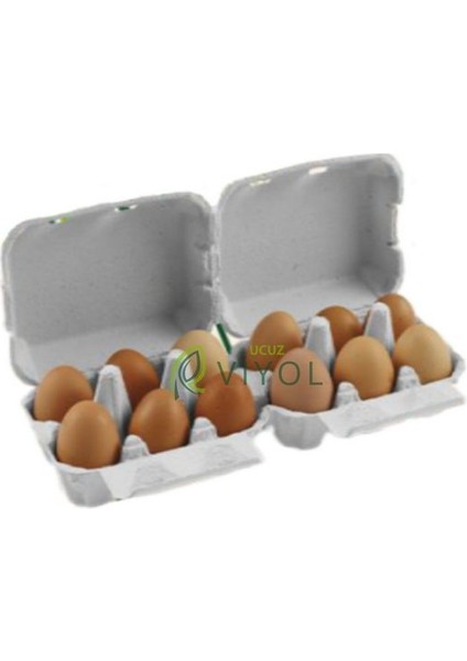 6 Lı Karton Kapaklı Yumurta Viyolü 60 Adet fiyatları