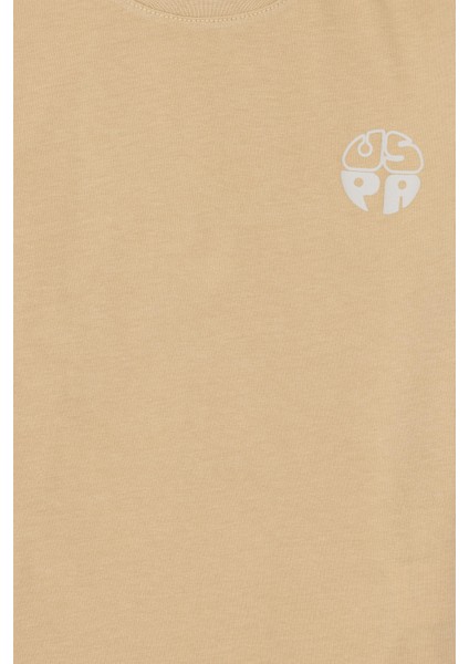 Erkek Çocuk Kum Tişört Basic 50295503-VR085 indirimleri