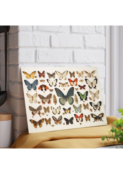Butterfly Images Temperli Cam Kesme Tahtası Seti - Mutfak Için Şık Tasarım Kaymaz ve Çizilmez Yüzey fiyatları