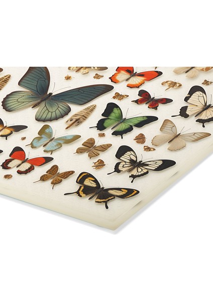 Butterfly Images Temperli Cam Kesme Tahtası Seti - Mutfak Için Şık Tasarım Kaymaz ve Çizilmez Yüzey modelleri