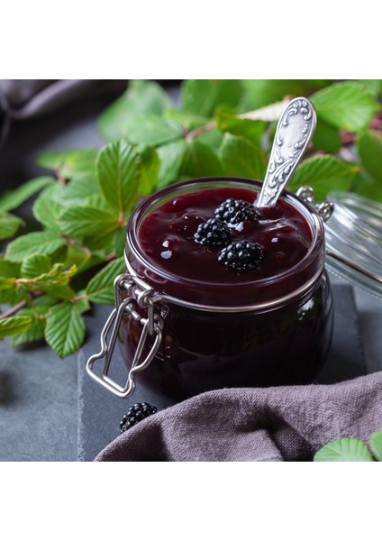 Naturel Böğürtlen & Limon Reçeli 2 Li Paket modelleri