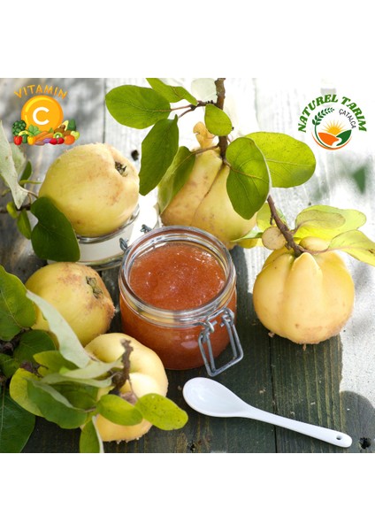 Naturel Vişne & Ayva Reçeli 2 Li Pakeket modelleri