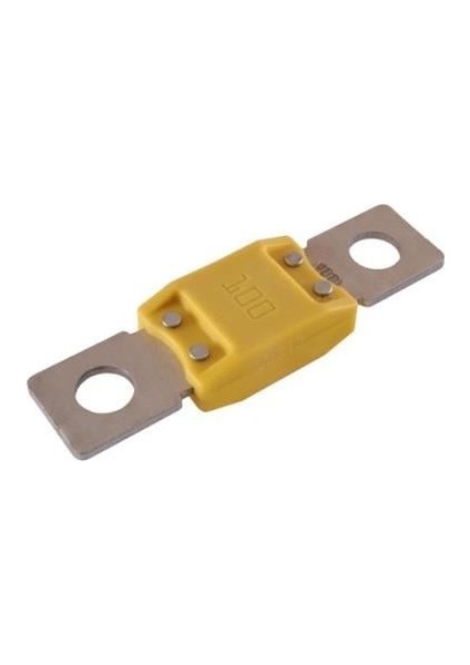 MEGAVAL SİGORTA SARI 100 A (19*69 MM)