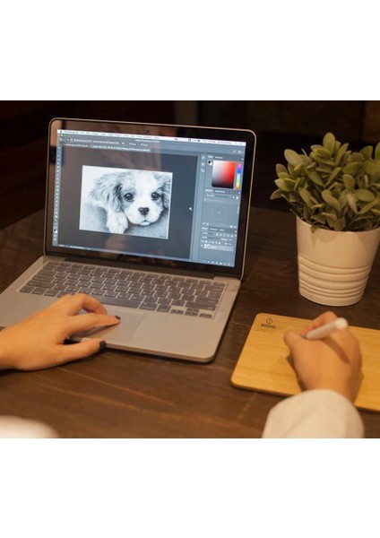 Vıewsonıc Woodpad 7 Bambu Grafik Tablet - PF0730- E0WW Ahşap