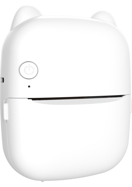 Mini Termal Etiket Yazıcı - Bluetooth Kablosuz, Android/ios Uyumlu, Fiş ve Notlar (Yurt Dışından)