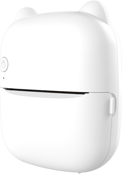 Mini Termal Etiket Yazıcı - Bluetooth Kablosuz, Android/ios Uyumlu, Fiş ve Notlar (Yurt Dışından)