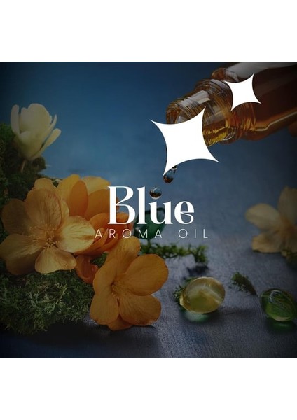 Blue Koku Kartuşu 200 ml