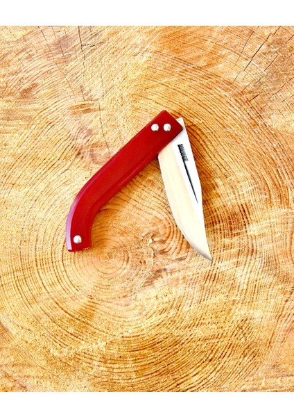 Tapan Aşı Bıçağı 21 cm Paslanmaz Vişne modelleri