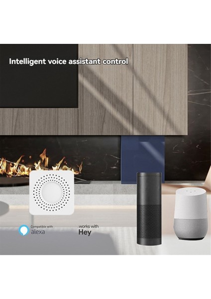 Wifi Röle Anahtar Modülü 10A 3 / 4 Kanal AC100-240V Alexa Home Mini Akıllı Anahtar Modülü ile Çalışır (Yurt Dışından) fiyatları