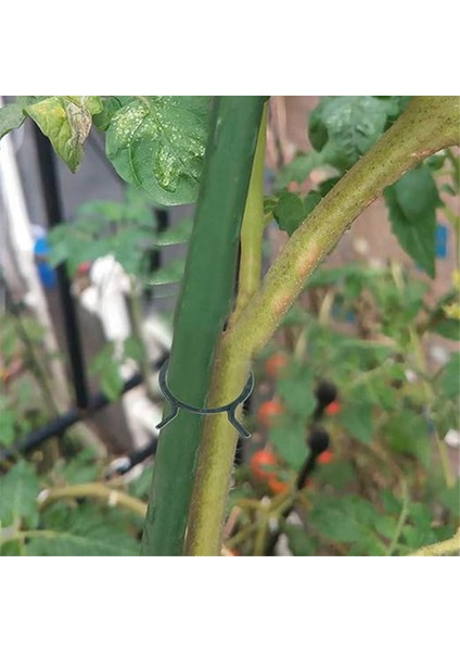 200 Sebze Sabitleme Klipsleri, Aşı Asması Sabitleme Klipsleri, Bitki Klipsleri, Bitki Bahçesi Klipsleri, Dikim Destek Klipsleri (Yurt Dışından) indirimleri