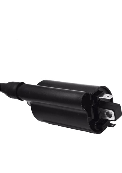 2 Adet Çim Biçme Makinesi Ateşleme Bobini 21121-2083 211212083 John Deere 2653 Gaz/ 260 /265 /285/320 /425 /445 (Yurt Dışından)
