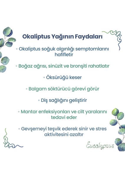 Ferahlatıcı Aromaterapi 10ml Saf ve Doğal Okaliptus Uçucu Yağ modelleri