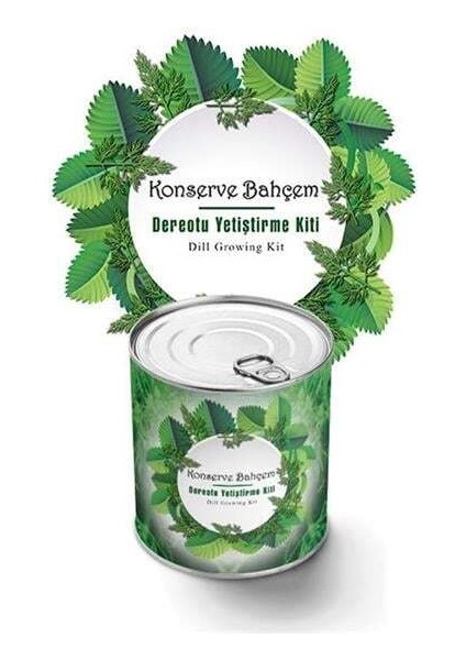 Buffer Konserve Bahçem Evde Konservede Dereotu Yetiştirme Kiti Aparatı