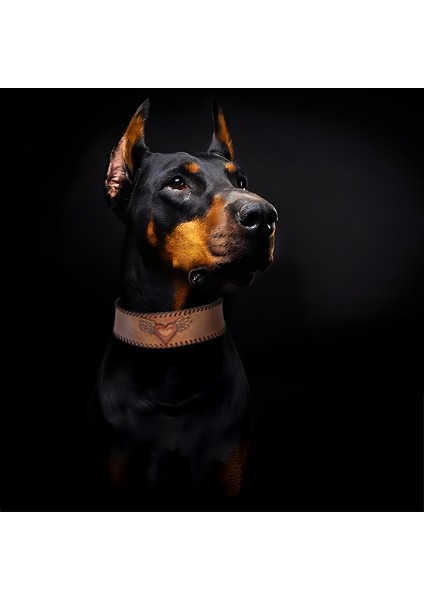 El İşçiliği Hakiki Deri Köpek Tasması