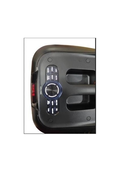 Mikrofonlu Bluetooth Hoparlör LED Işıklı Taşınabilir Şarjlı Ses Sistemi Tf Kart USB Fm Radyo 1600W