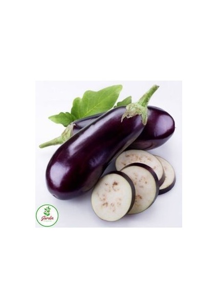 Patlıcan Tohumu 25 Adet Doğal Kemer Patlıcanı Tohumu Bahçe ve Terasa Uygun