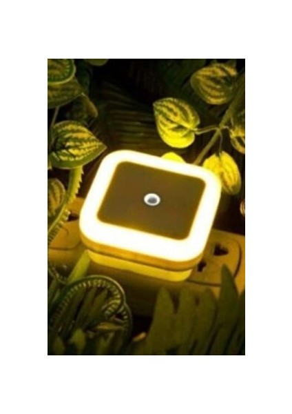 CT-9500 Amber Fotoselli Gece Lambası